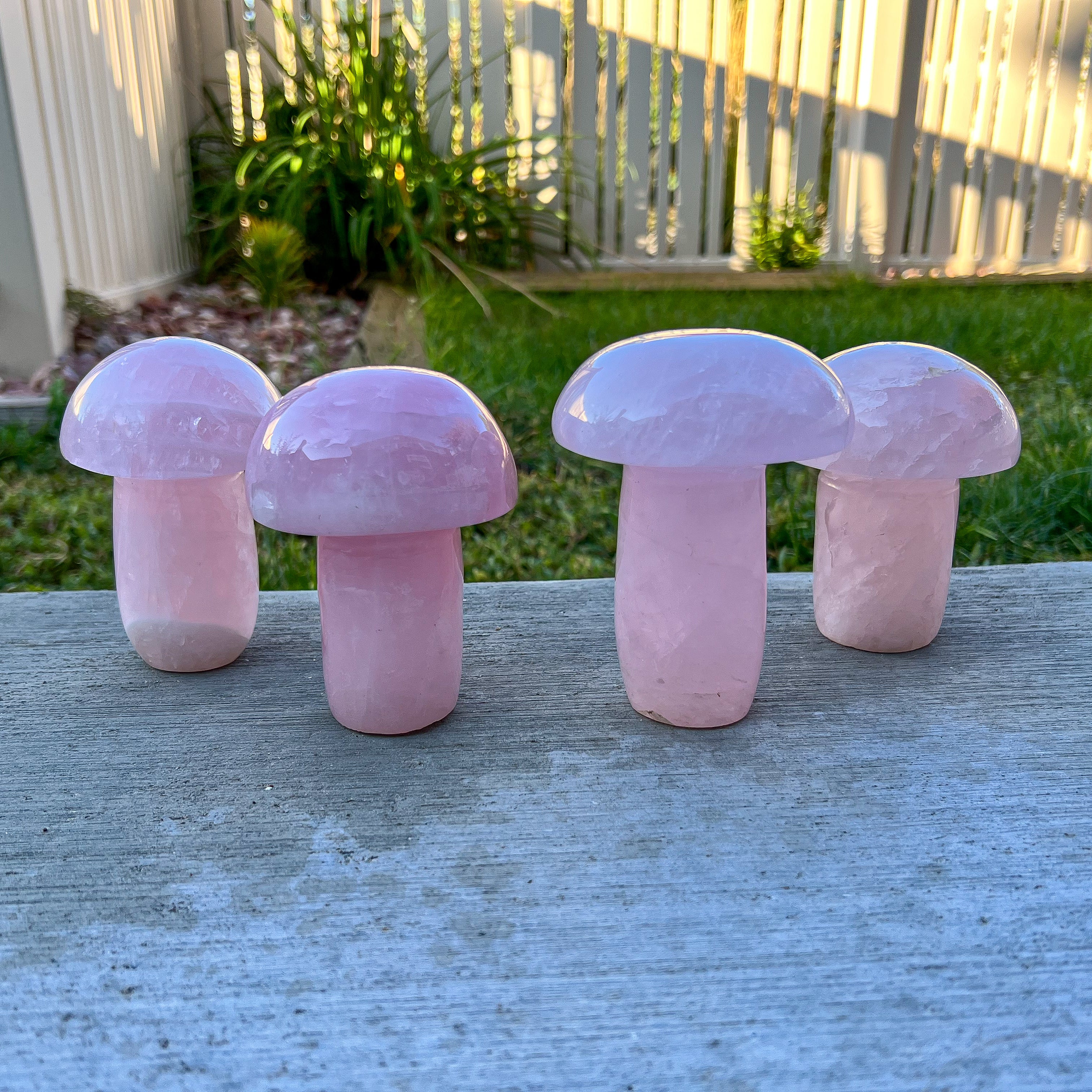 Rose Quartz Mushroom - Self Standing