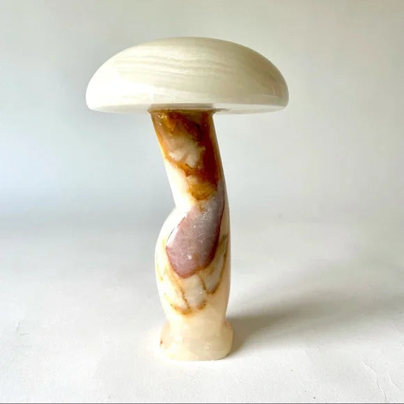 Banded Onyx Mushrooms - Self Standing